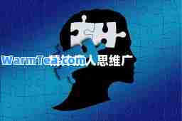 精病人思维广