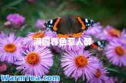 满园春色惹人醉
