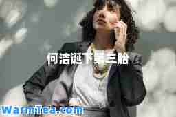 何洁诞下第三胎