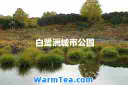白鹭洲城市公园