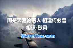 同是天涯沦落人 相逢何必曾相识-歌词