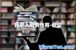 我是人间惆怅客-歌词