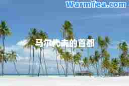 马尔代夫的首都