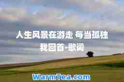 人生风景在游走 每当孤独我回首-歌词