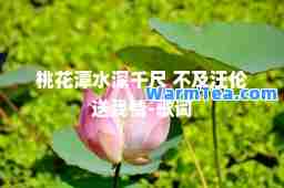 桃花潭水深千尺 不及汪伦送我情-歌词