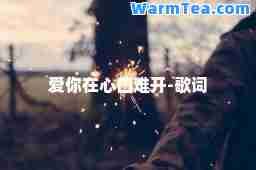 爱你在心口难开-歌词