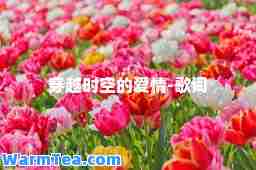 穿越时空的爱情-歌词