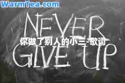 你做了别人的小三-歌词