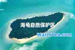 海龟自然保护区