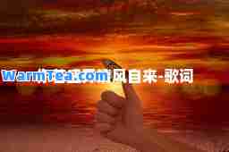 你若盛开清风自来-歌词