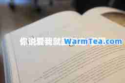 你说爱我就跟我走-歌词