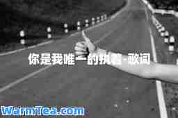 你是我的执着-歌词