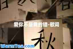 爱你不是我的错-歌词