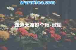 却道天凉好个秋-歌词