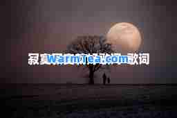 寂寞寂寞就好歌词-歌词
