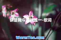 你是我今生的-歌词