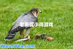 老鹰捉小鸡游戏