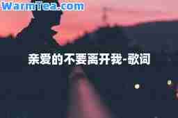 亲爱的不要离开我-歌词