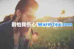 别怕我伤心张信哲-歌词