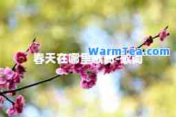 春天在哪里歌词-歌词