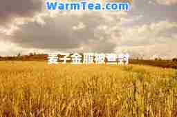 麦子金服被查封