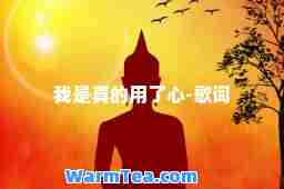 我是真的用了心-歌词