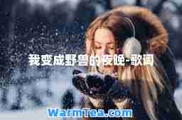 我变成野兽的夜晚-歌词
