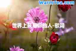 世界上你的人-歌词