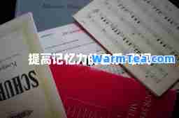 提高记忆力的音乐-歌词