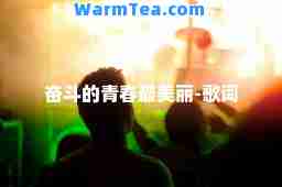 奋斗的青春最美丽-歌词
