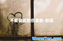 不爱我就别伤害我-歌词