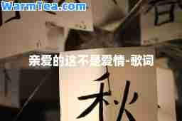 亲爱的这不是爱情-歌词
