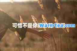 可惜不是你梁静茹-歌词