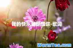 我的快乐就是想你-歌词
