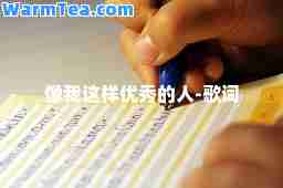 像我这样优秀的人-歌词