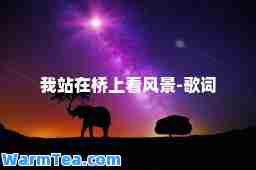 我站在桥上看风景-歌词