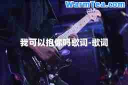 我可以抱你吗歌词-歌词