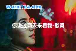 你说过两天来看我-歌词