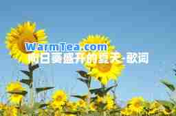 向日葵盛开的夏天-歌词