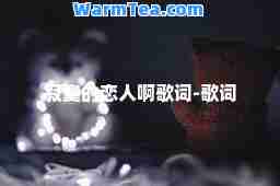 寂寞的恋人啊歌词-歌词