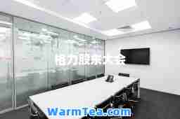 格力股东大会