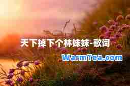 天下掉下个林妹妹-歌词