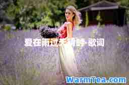爱在雨过天晴时-歌词