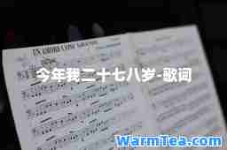 今年我二十七八岁-歌词