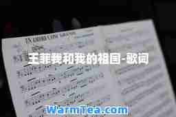 王菲我和我的祖国-歌词