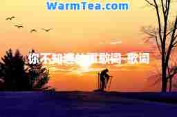 你不知道的事歌词-歌词