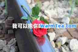 我可以抱你吗宝贝-歌词