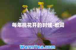 每年桃花开的时候-歌词