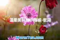 温柔美丽的小辣椒-歌词