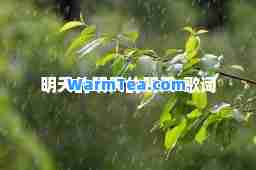 明天的明天的明天-歌词